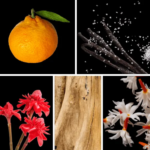 Duftnoten: Mandarine, gesalzene Vanille, Ingwerblüte, Sandelholz, Jasmin